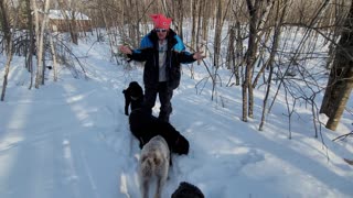 Dogs love Poop!