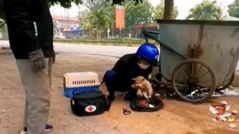 The puppy in the garbage truck 😭#fyp #dog #puppy #foryou #pet #abandoned