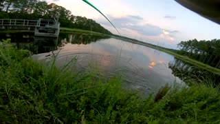Fishing for biggest BASS ever, Watch how and where.