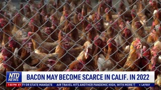 Bacon May Become Scarce in California in 2022