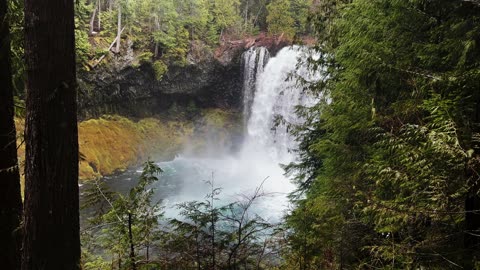 BITE-SIZED WILDS | The Mighty Majestic Koosah "Sky" Falls! | 64 FT Waterfall | Central Oregon | 4K