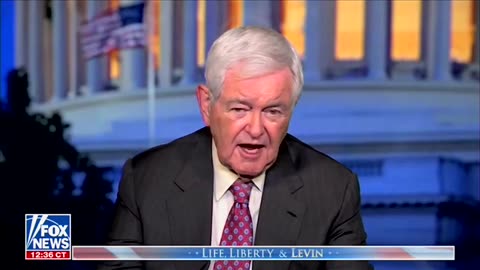 Gingrich: As Hard as It Is to Believe, Biden May Be the Most Electable Democrat