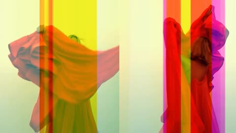 COLOR BLOCK Stella McCartney by Petra Cortright