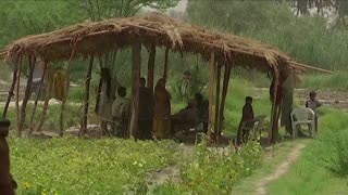 Mothers bear brunt of climate change in Pakistan