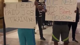 Meanwhile, in Chicago, Il- Illegal immigrants are now demanding paid training and free housing