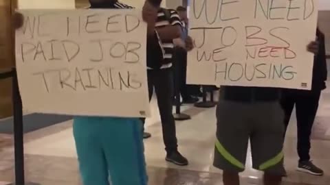 Meanwhile, in Chicago, Il- Illegal immigrants are now demanding paid training and free housing