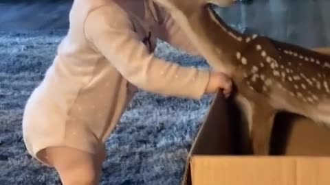 Cute baby and Deer love