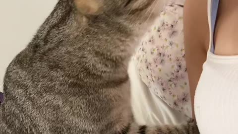 Cat Is Surprised By Facemask