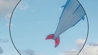 Kite 🪁 Flying at the beach ⛱️🏖️ 🐚•