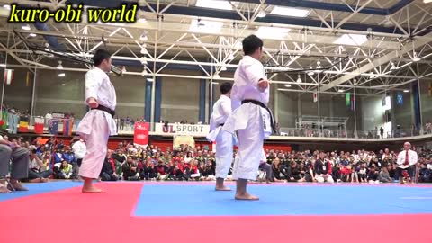 Karate Kata "Unsu" in 2017 JKA WORLD TOURNAMENT
