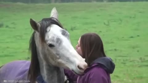 Animals Reunited With Owners After Years !