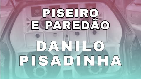 Brazilian Music - Pisadinha Pra Tocar Nos Paredões - Piseiro