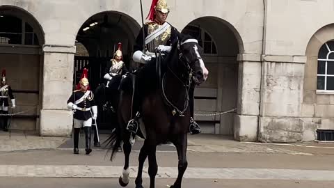 Queen’s Guard Horse Goes Crazy