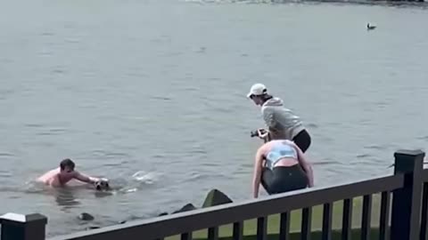 Man rescues dog from Hudson River ABC News