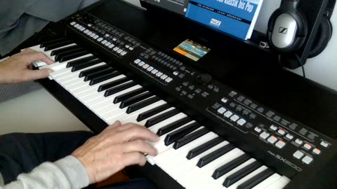Lullaby (J. Brahms) cover by Henry, Yamaha PSR-SX600.