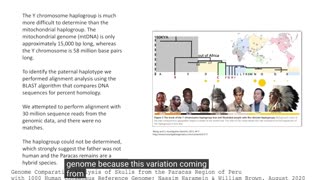 PARACUS PERUVIAN SKULLS DNA ANALYSIS