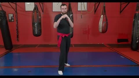 JKD - Basic Strikes