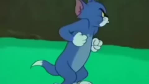 Tom and jerry fight