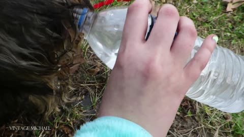 Small Teacup Micro Yorkie Puppy Drinking Out Of A Water Bottle, Too Cute