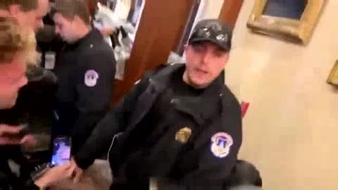 Another video of Ashley Babbitt being shot in the Capitol Building