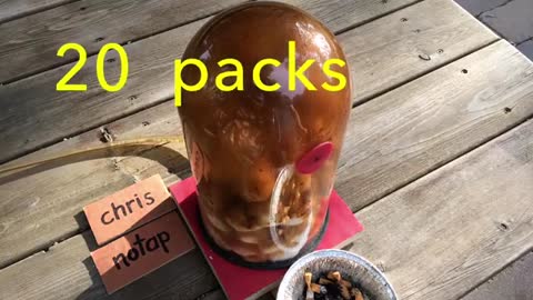 ow Smoking 30 PACKS of Cigarettes Wrecks Your Lungs ● You Must See This !