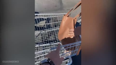 HE FLOATS THROUGH THE STORE, EMLOYEES FREAK OUT!