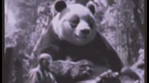 LARGEST GIANT PANDA BEAR EVER