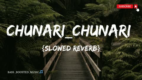 Chunari_Chunari_Remix_Biwi_No_1. _🥵_Hip_Hop_{Slowed Reverb}🔊_🔊_BASS_BOOTED_MUSIC 🎵