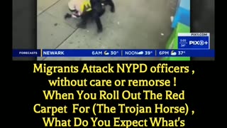 NYPD officers attacked by migrants 😧