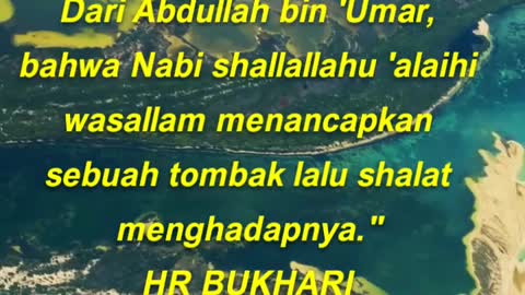 Dari Abdullah bin 'Umar, bahwa Nabi shallallahu 'alaihi wasallam menancapkan