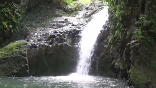 Kailua, HI — Maunawili Falls Trail