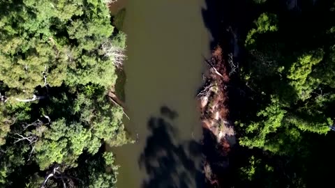 Platypus returns to Australia’s oldest national park