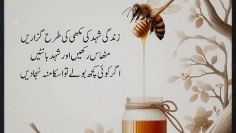 Poetry #foryoupage #urdulines#urdushayari