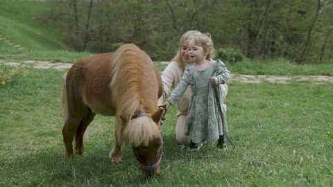 Young Woman and Little Girl Brushing a Miniature Horse