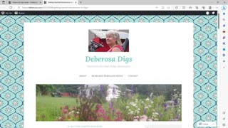 DD 4 Tour of Deberosa Digs Website