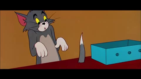 Tom and Jerry cartoon funny scenes