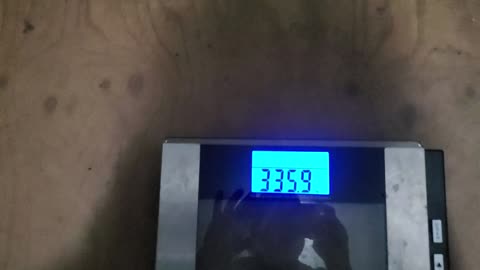 Weigh-In Apr 12, 2024