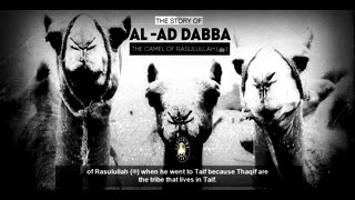 The Story Of The Camel Of Rasulullah صل الله عليه وسلم - Imam Anwar Al-Awlaki