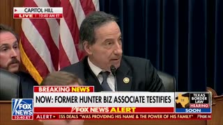 Hunter Hearing Goes Off The Rails, Dem Raskin FREAKS OUT Over Bobulinski Calling Him A Liar