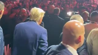 Audience in Las Vegas erupts in excitement as the 45th President enters the UFC 290 venue.