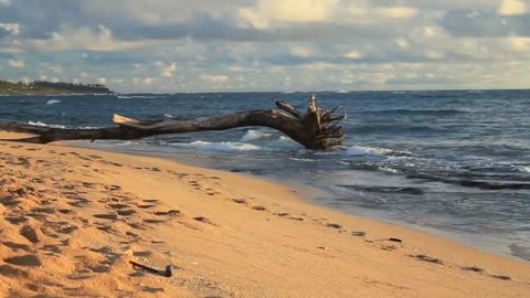 SOOTHING Gentle Beach Waves Rolling in for Destressing and Focus