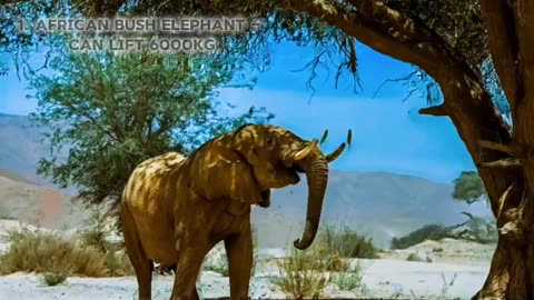 Top 10 Strongest Animals in the World 🐾🦁| Wildlife Documentary | Creative commons