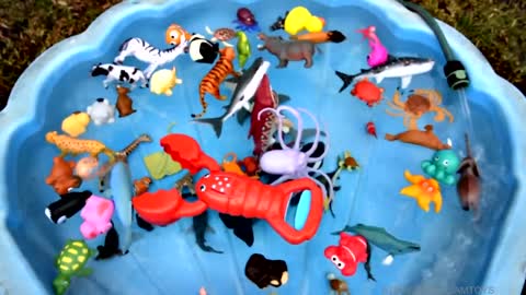 learn colors with wild animals in water bath shark toy for kids