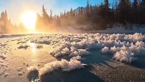 When the winter ice crystals meet an early morning sun ☀️ 😍✨! .