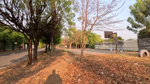 Colonia Universidad Leon Nicaragua Walking Tour | Quiet Neighborhood in SE Leon & Res Las Palmeras