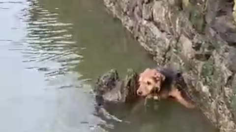 RUBY FALLS INTO THE RIVER THAMES