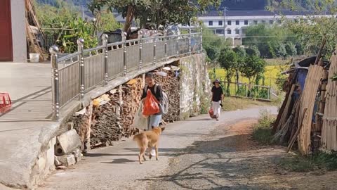 The owner came back, and the dog quickly went to welcome him home