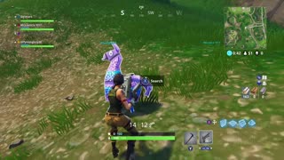 my very first llama - fortnite memories