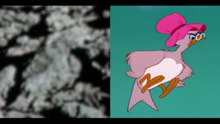 Moon Hoax -Disney Bird Cartoon Seen in Nevada Fake Moon Bay