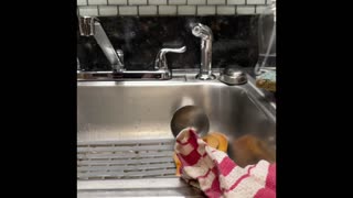 Dishwashing 6